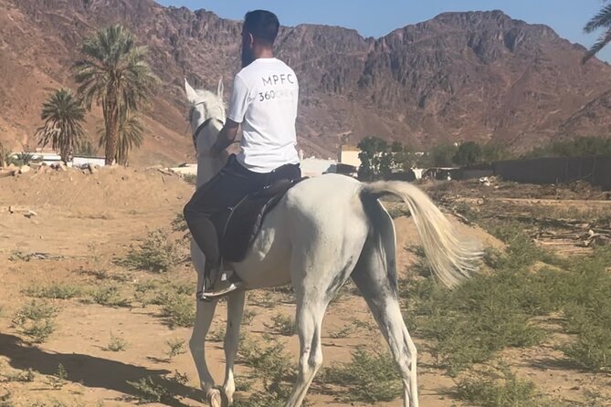 1 Hour Private Horse Riding in Madinah - Walking, Trotting, and Cantering Around the Farm