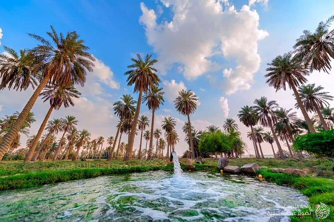 A tour in Al Ahsa the largest Oasis in the world - Key points at a glance