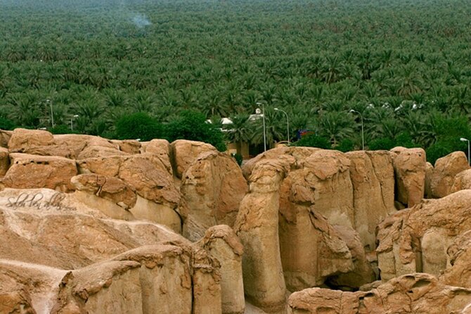 A tour in Al Ahsa the largest Oasis in the world - Why Al Ahsa makes a strong one-day outing