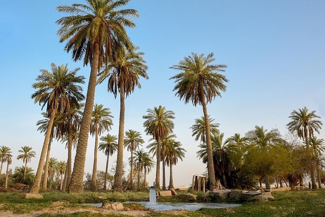 A tour in Al Ahsa the largest Oasis in the world - What the private vehicle adds to the day