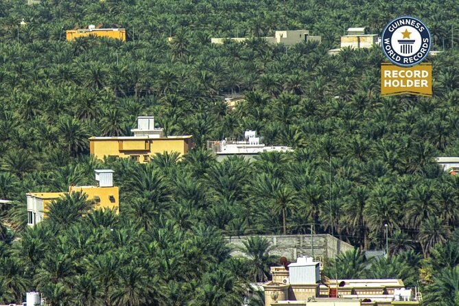 A tour in Al Ahsa the largest Oasis in the world - Is $175 a fair price?