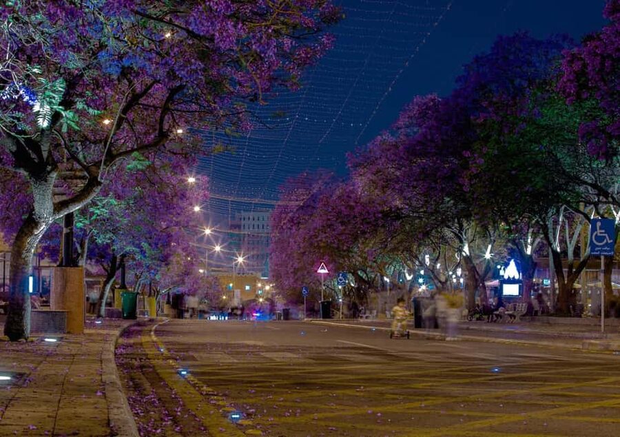 Abha City Tour & Rijal Almaa - What the private format adds