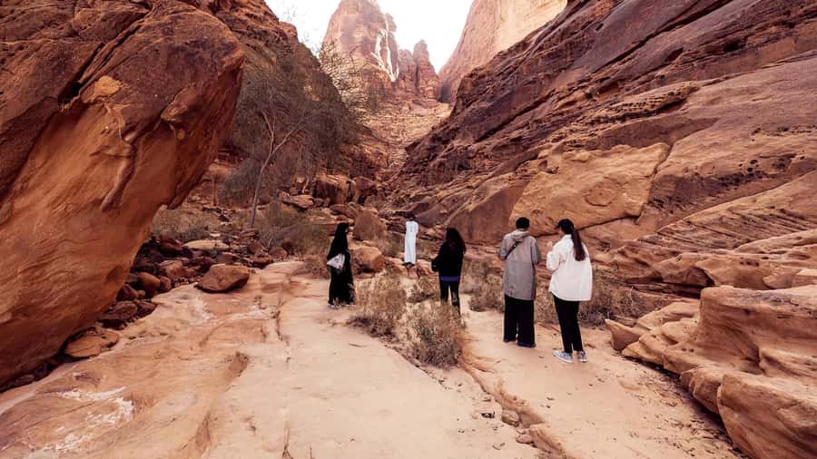 Al Ula: Dadan and Jabal Ikmah Tombs Guided Tour - Who will get the most from this tour?