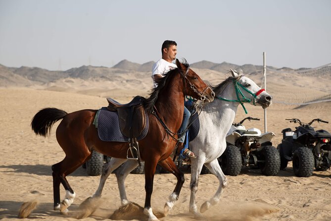 Desert Safari with Quad Bike Tours Jeddah - Who will enjoy this desert morning