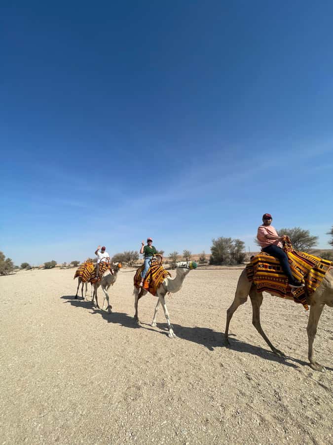 Edge of The World Riyadh,Camel Ride ,Bat Cave Visit & Dinner - From Saad Square to the open desert