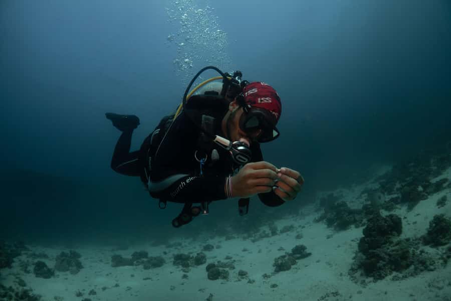 From Jeddah: Boat Trip and Diving for Certified Divers - Equipment costs and preparation