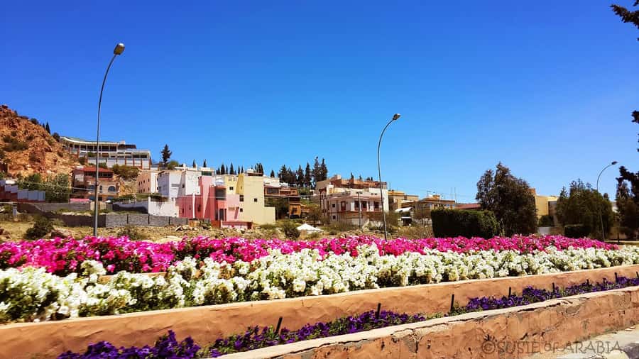 From Jeddah: Taif Day Tour - Bab Alrea and the old market entrance