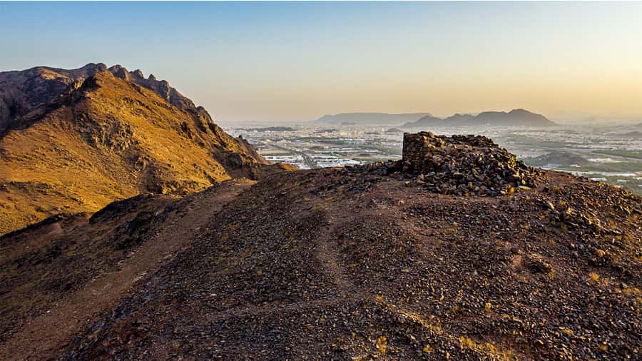 From Madinah: Half-Day Ziarah Tour - Key points to know before you book