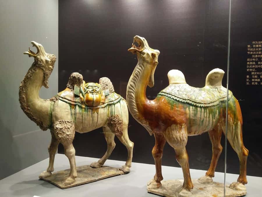 Half Day in Riyadh, Almasmak, National Museum, Kingdom Tower - The National Museum: Saudi Arabia in a wider frame