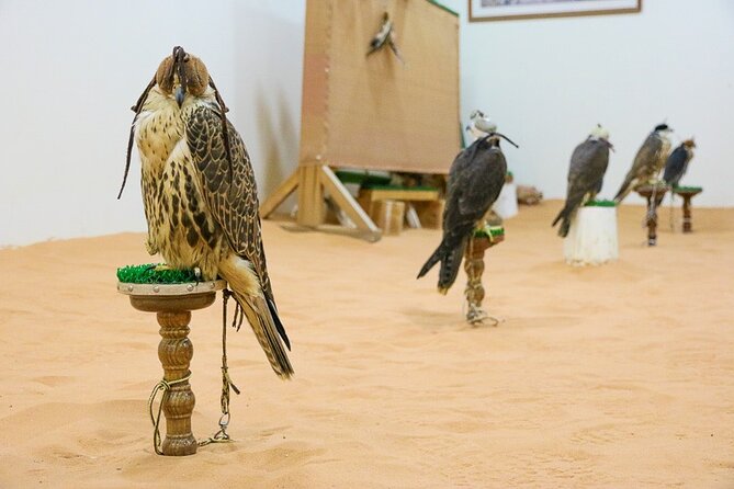 Historical Riyadh Self-Guided Audio Walking Tour - Why this short walk matters in Riyadh