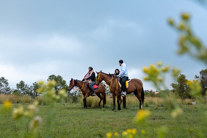 Horse Riding Experience in Riyadh | Tanomah | Jeddah | Al Ula - How the $75 price works for different riders