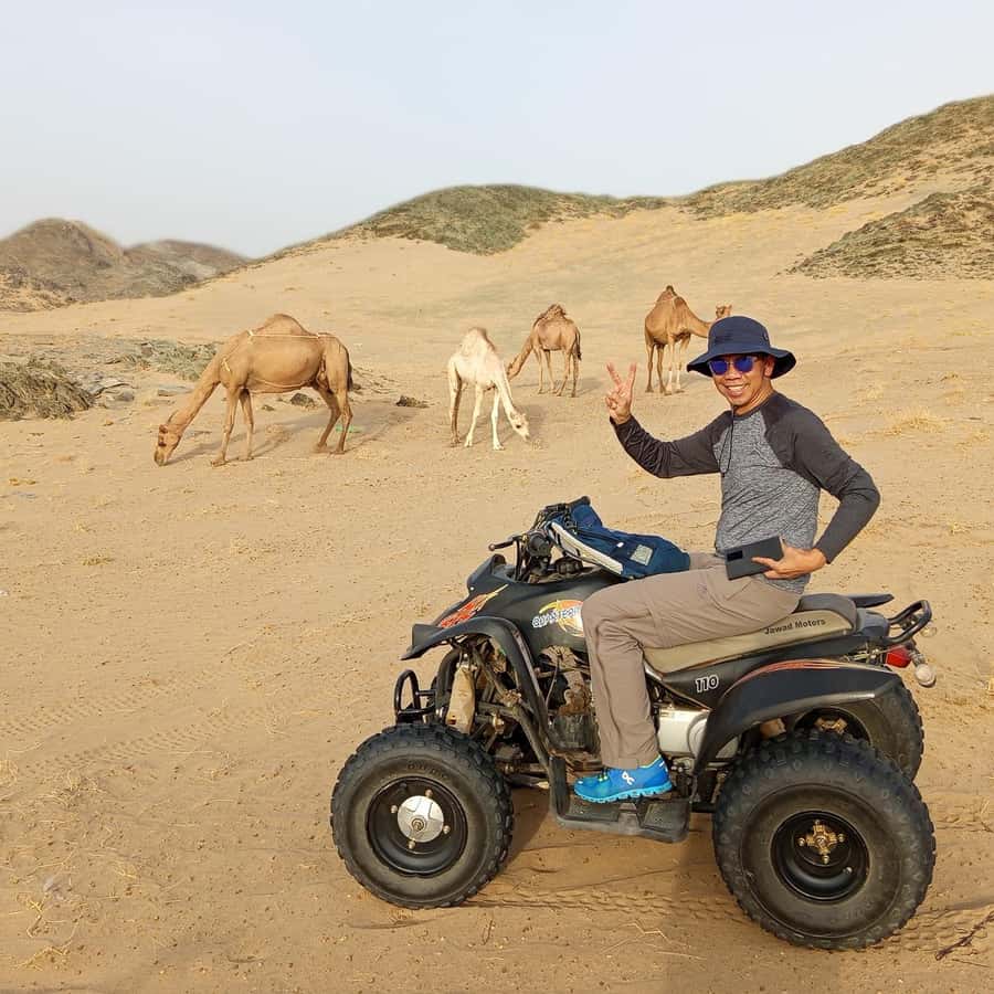 Jeddah Desert Safari: Quad Biking, Camel Farm & Sunset Views - Meeting camels at a local farm