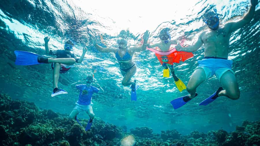 Jeddah: Guided Snorkeling Trip with Snacks and Drinks - Meeting the guide and preparing your gear