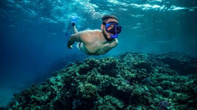 Guided Snorkeling Trip with Snacks and Drinks