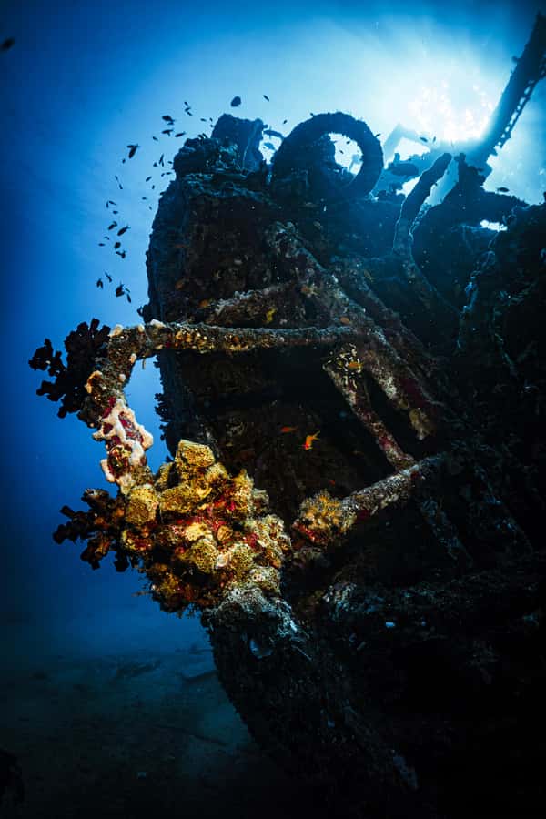 Jeddah: Guided Snorkeling Trip with Snacks and Drinks - What to pack for a more comfortable day