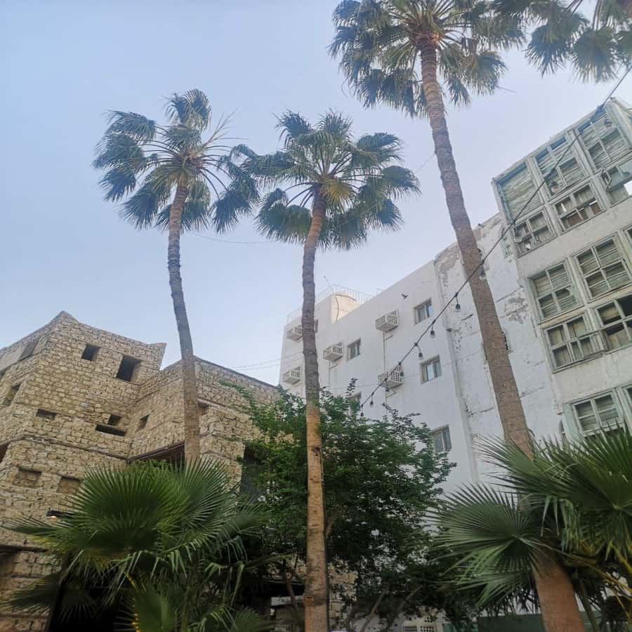 Jeddah: Historic District Tour by a Local licensed Guide - The unnamed stops between the major houses