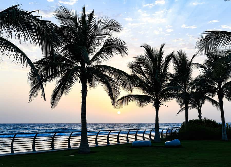 Jeddah: Jeddah Heritage Chronicles Tour with optional lunch - Museums, Islamic Art, and the Changing Schedule