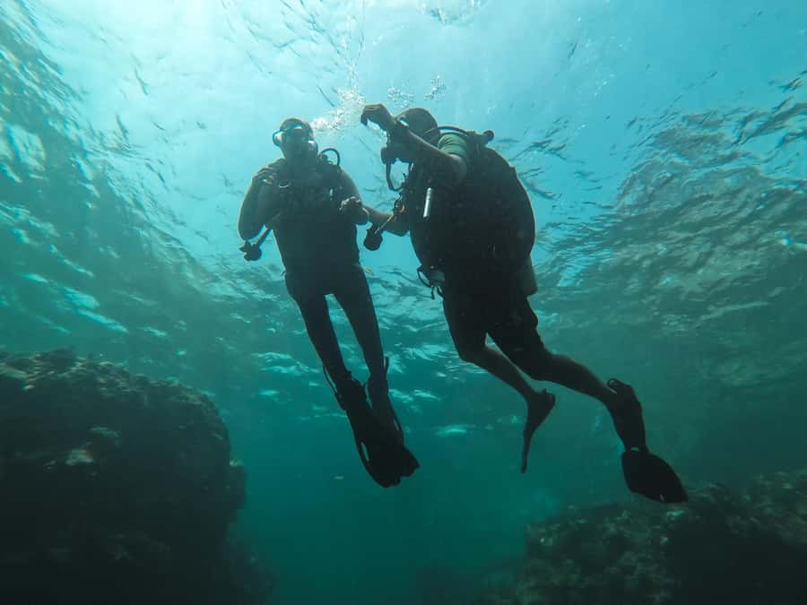 Jeddah: Red sea shore diving (Discovery) - Key points before you book