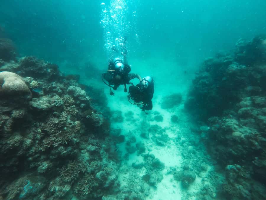 Jeddah: Red sea shore diving (Discovery) - What the $324 price really buys you