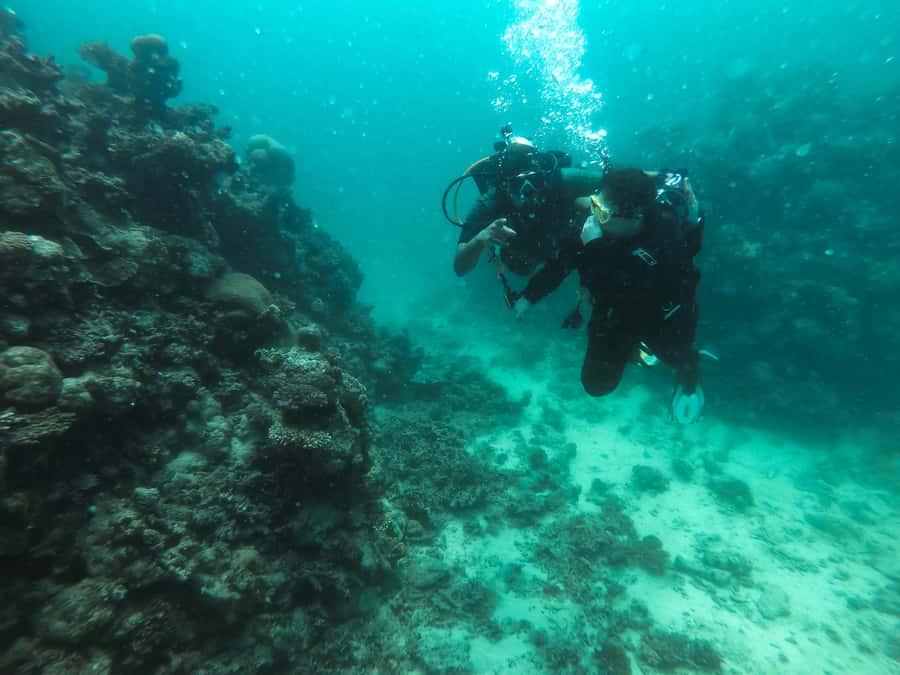 Jeddah: Red sea shore diving (Discovery) - Learning the gear and underwater hand signals