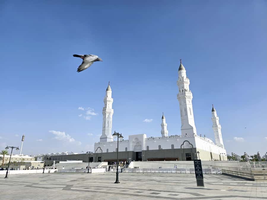 Madinah Culture & History Tour – Led by Local Guide - The farm stop adds local flavor