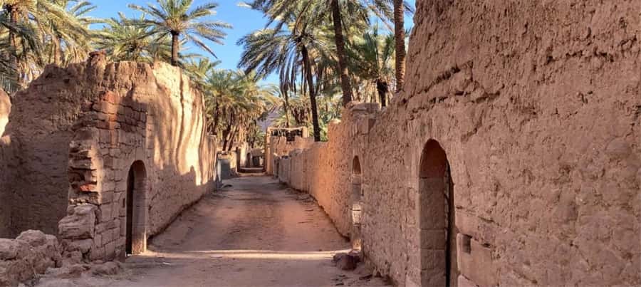 Oasis Adventure in Alula - What the $39 Price Buys You