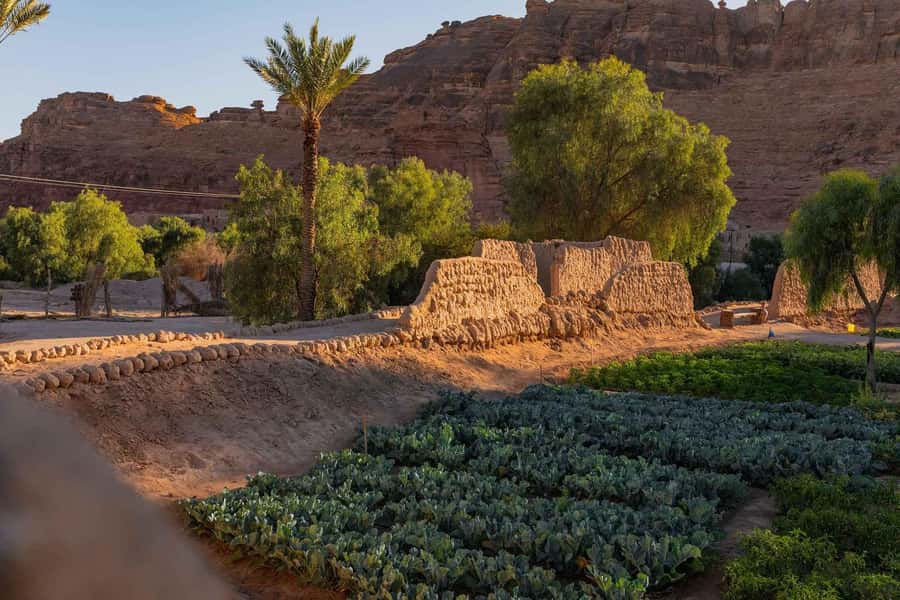 Oasis Adventure in Alula - Small Details That Can Prevent Frustration