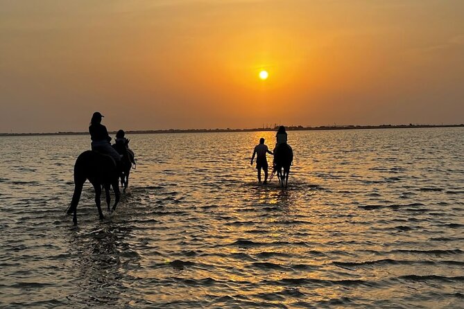 Private Horse Riding Experience at Red Sea - Key points to know