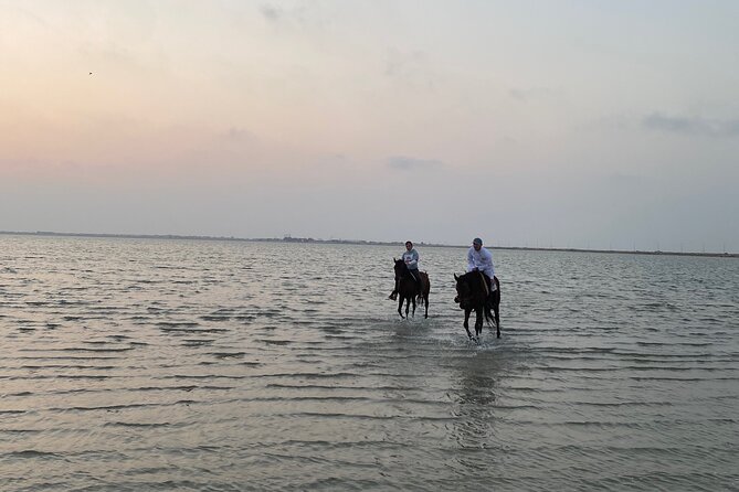 Private Horse Riding Experience at Red Sea - Sunset beside the Red Sea