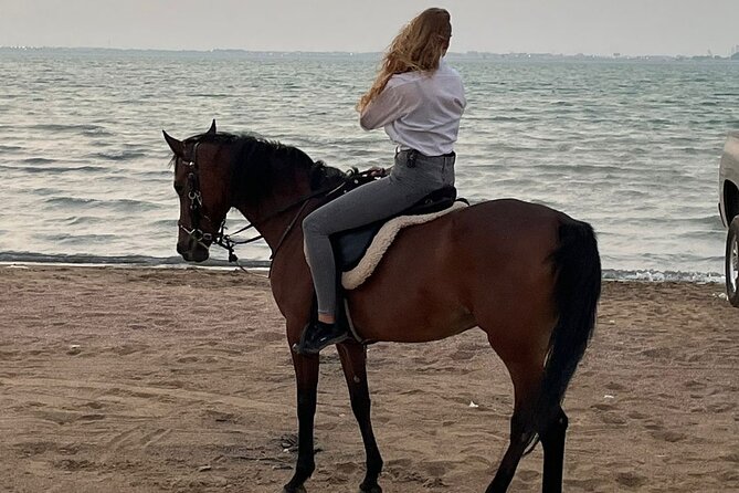 Private Horse Riding Experience at Red Sea - What the horses add to the experience