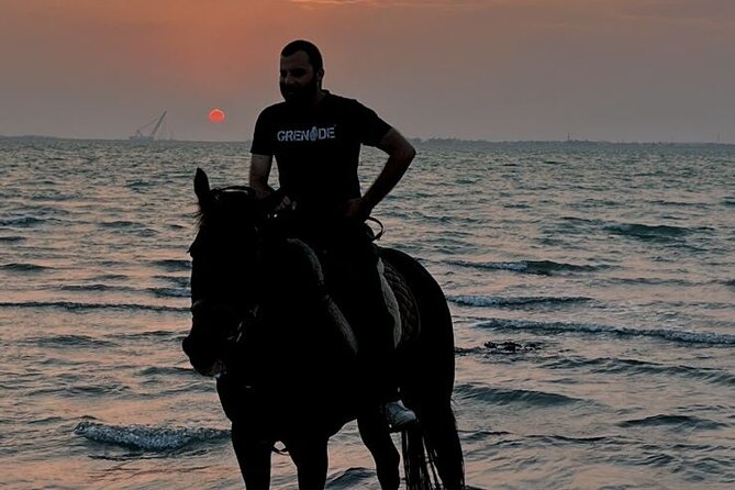Private Horse Riding Experience at Red Sea - How the two hours usually feel