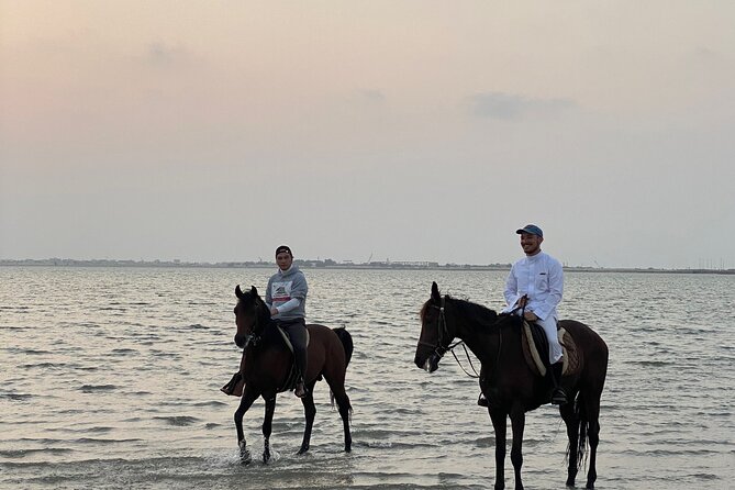Private Horse Riding Experience at Red Sea - Is $90 per person good value?
