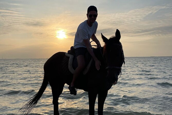Private Horse Riding Experience at Red Sea - Who should book this ride?