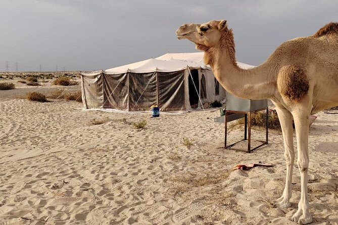 Private Tour to the Yellow Lake and Sand Dunes - What the $119 Price Includes