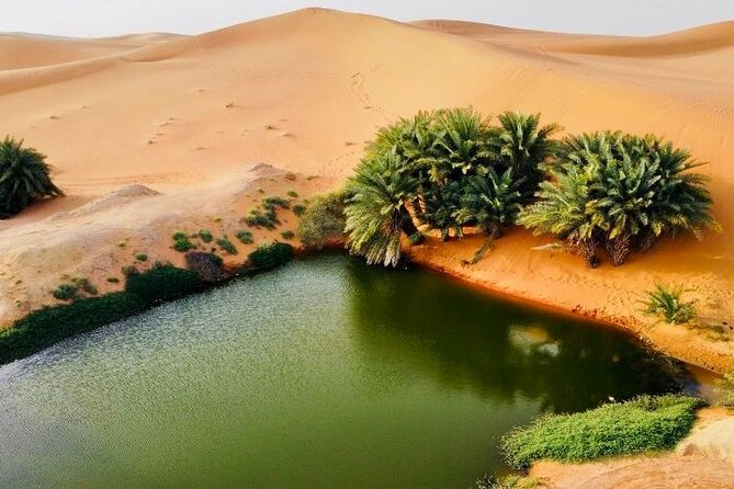Riyadh City Tour with Camel Riding - Why this Riyadh day trip feels different