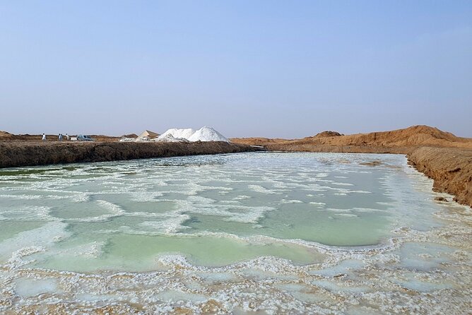 Riyadh City Tour with Camel Riding - Qasab Salt Flats and the work behind the scenery