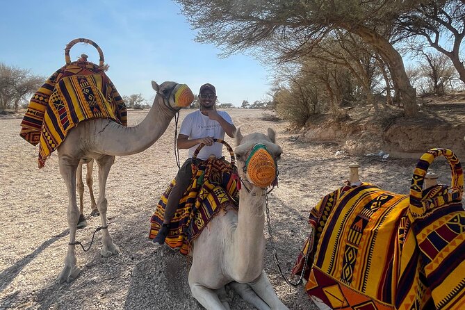 Riyadh City Tour with Camel Riding - Sunset at the Secret Lake