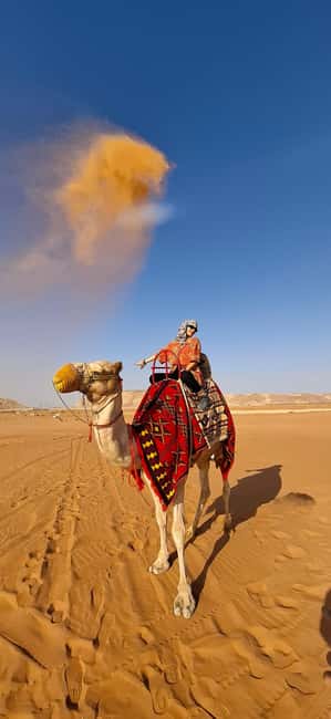 Riyadh: Desert Sand Dunes (VIT-Qude bike + Camel Ride) - Leaving Riyadh for the red dunes