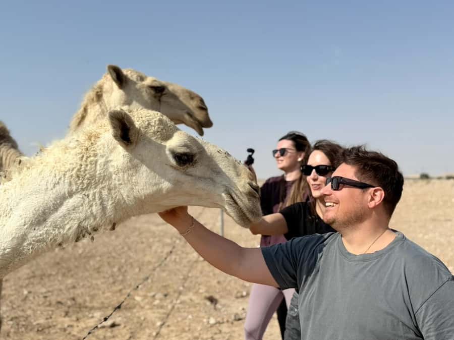 Riyadh: Edge Of The World, camels &Stargazing with 4x4 - Timing, pickup, and the ride home