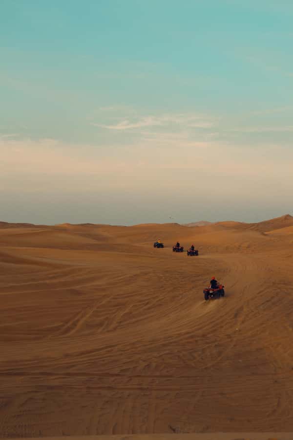 Riyadh: Sand Dunes Desert Safari, Quad Bike, Camel Ride - Quick take: what makes this safari worthwhile
