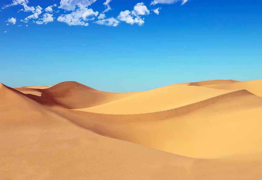 Riyadh: Sand Dunes Desert Safari, Quad Bike, Camel Ride - Red Sand and Hidden Valley