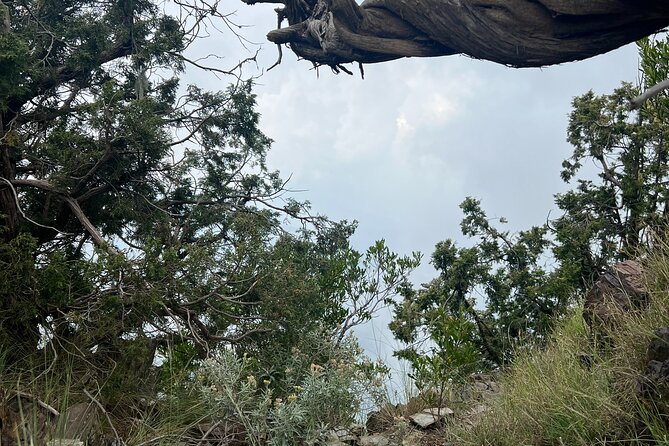 Sawda Mountains Hiking Trail - Osama’s local perspective adds more than directions