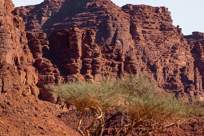 Wadi Disah Adventure from Tabuk | Al Ula - Who will enjoy this Saudi Arabia day trip?