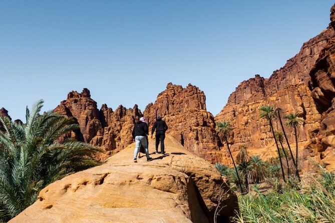 Wadi Disah Adventure from Tabuk | Al Ula - Is Wadi Disah worth booking?