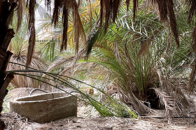 Walk In Moses' Footsteps - Tour between Tabuk and The Red Sea - Day two: Madyan, Jethro’s tomb, and Moses’ well